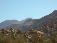 DSCN1648