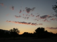 DSCN1662