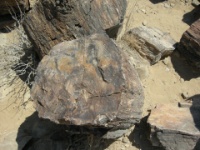 DSCN1676