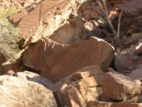 DSCN1729