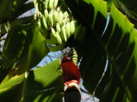 DSCN2452