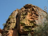 DSCN2474