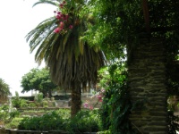 DSCN2491