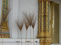 DSCN5086