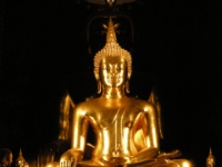 DSCN5104
