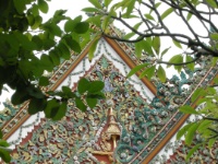 DSCN5135