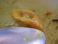 DSCN5146