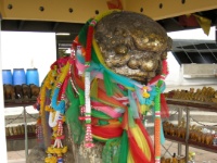 DSCN5160