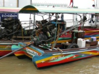 DSCN5169