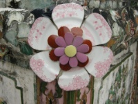 DSCN5176