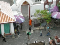 DSCN5196