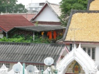 DSCN5207