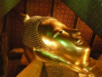 DSCN5223