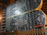 DSCN5237