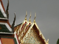 DSCN5240