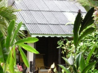 DSCN5344