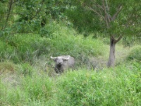 DSCN5648