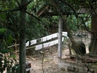 DSCN5651