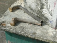DSCN5658