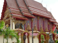 DSCN5672