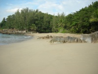 DSCN5680