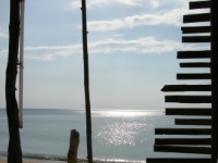 DSCN5716