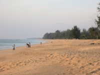 DSCN5728
