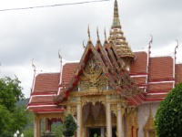 DSCN5464