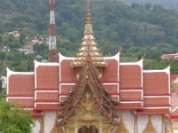 DSCN5471