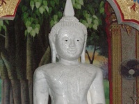 DSCN5479