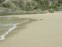 DSCN5491