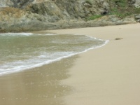 DSCN5492