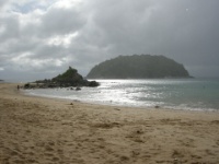 DSCN5506