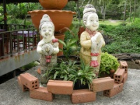 DSCN5520