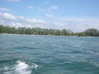 DSCN5538