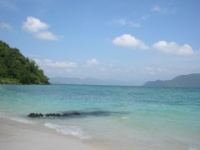 DSCN5545
