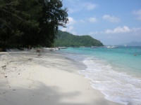 DSCN5547