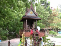 DSCN5551