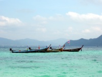 DSCN5553