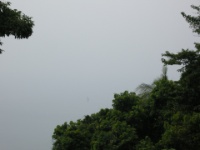 DSCN5579