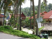 DSCN5600